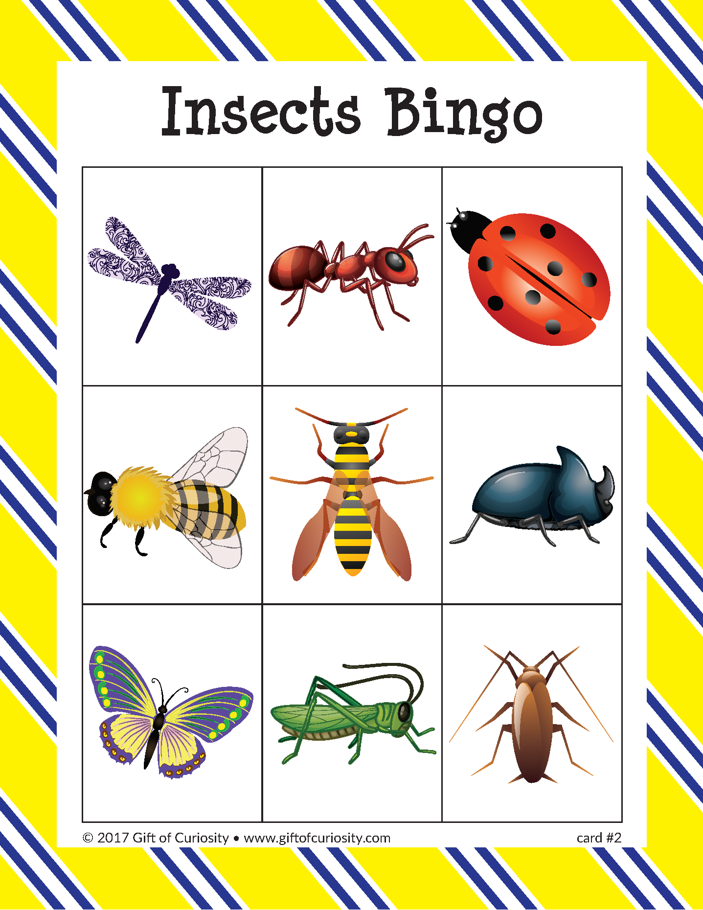 Insects Bingo Gift Of Curiosity