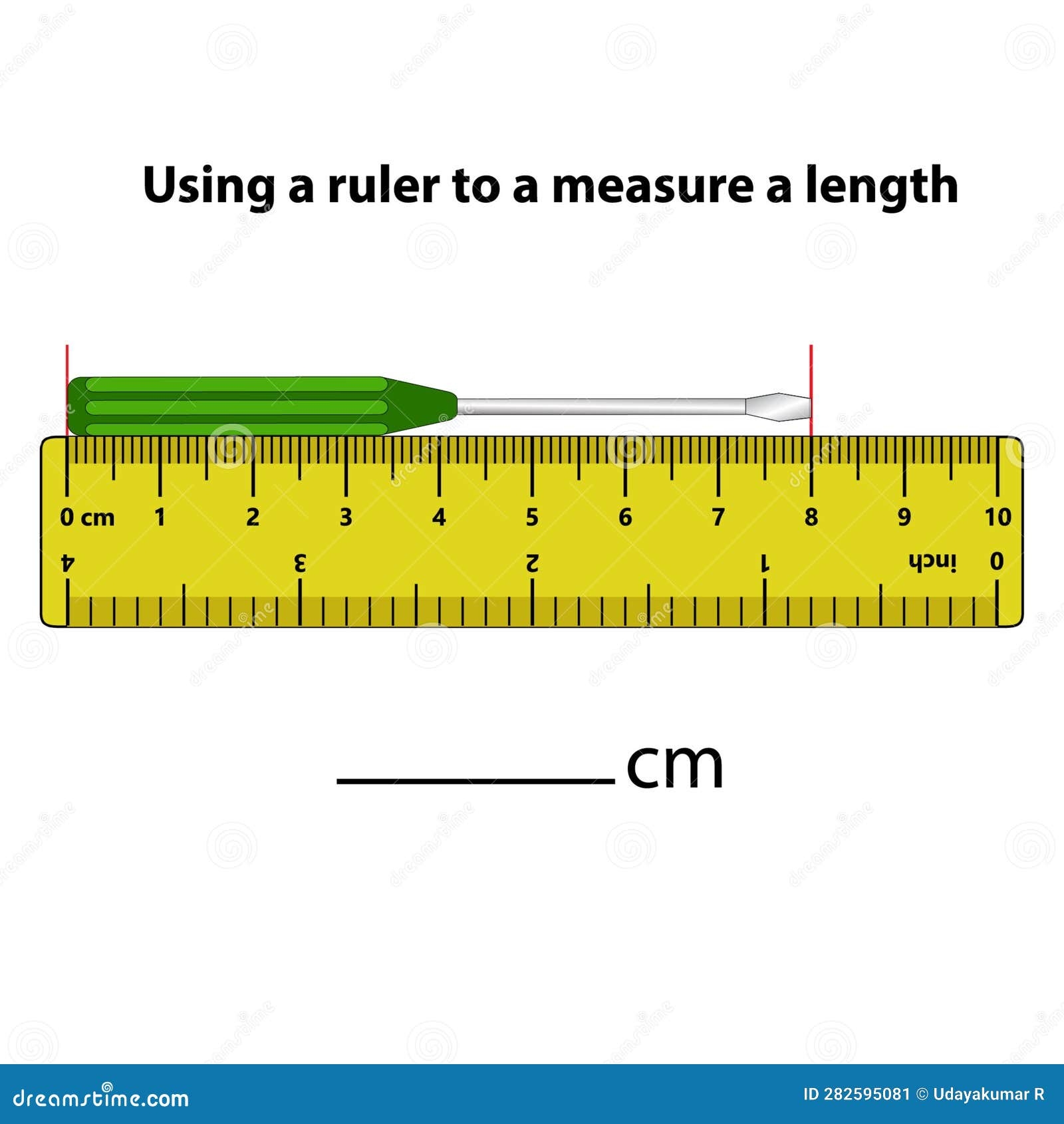 Measuring Length In Centimeters With The Ruler Education Developing Worksheet Stock Vector Illustration Of Page Developing 282595081