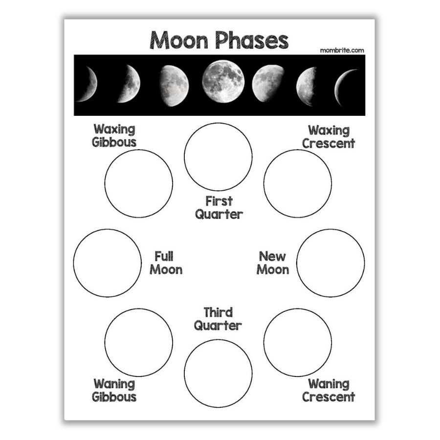 Oreo Cookie Moon Phases Activity Free Worksheet Oreo Moon Phases Moon Phases Activities Moon Phases