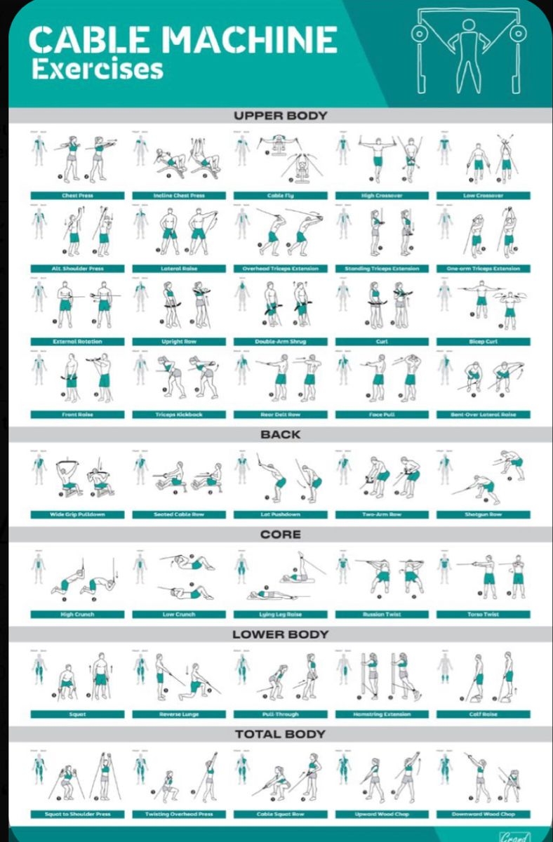 Pin By Frank Verdi On Cable Exercise Cable Workout Gym Workout Chart Gym Workout Plan For Women