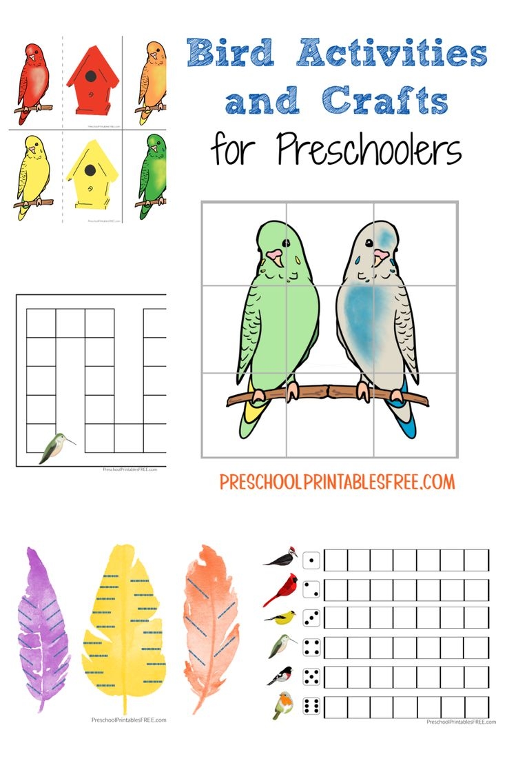 Preschool Bird Activities In 2023 Free Preschool Printables Free Preschool Printable Activities For Kids