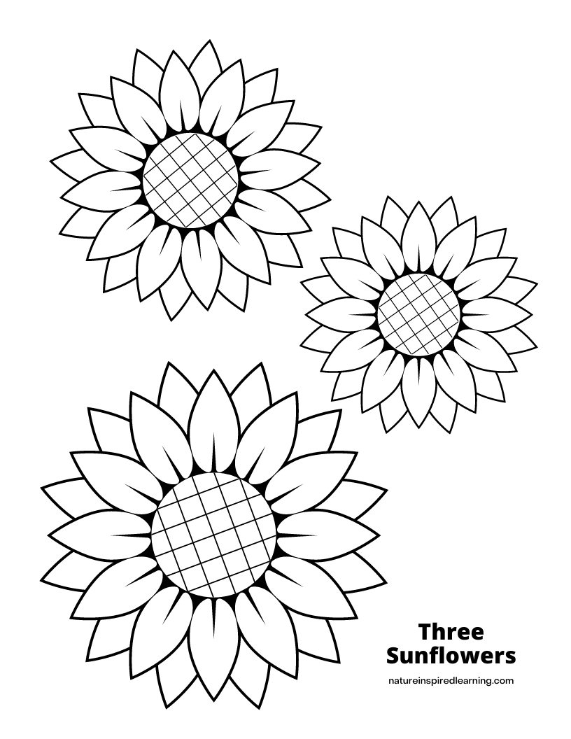 Printable Sunflower Templates Sunflower Coloring Pages Sunflower Template Coloring Pages