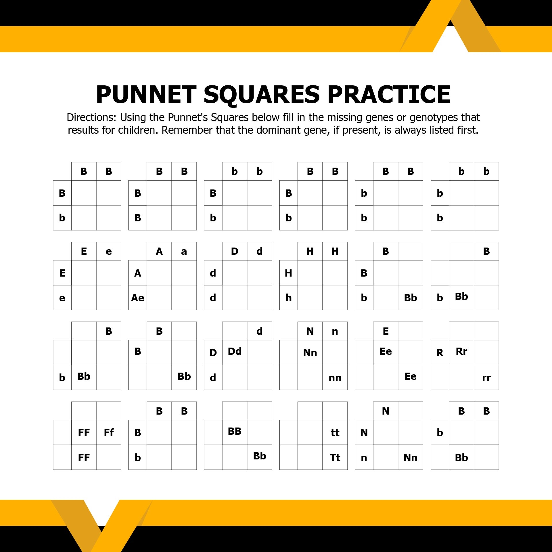 Punnett Square Practice Worksheet 1 BIO 115 Studocu Worksheets Library