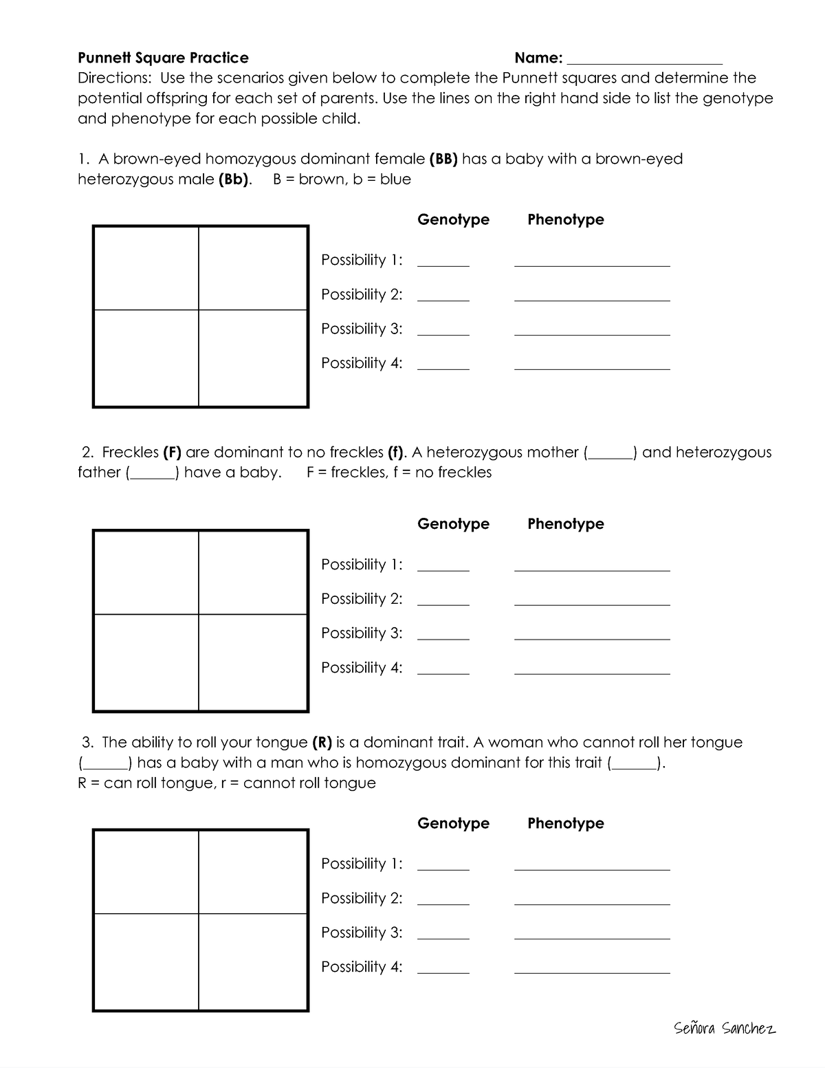 Free Printable Punnett Square Worksheets