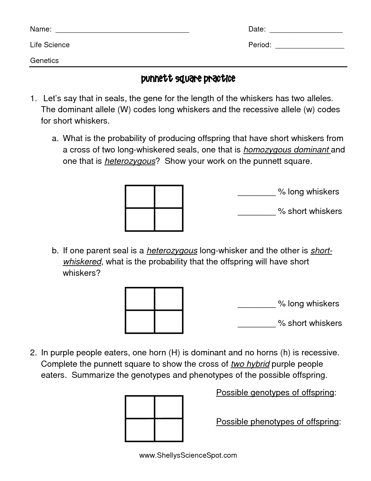Punnett Square Practice Worksheet Answers Practices Worksheets Punnett Squares Punnett Square Activity