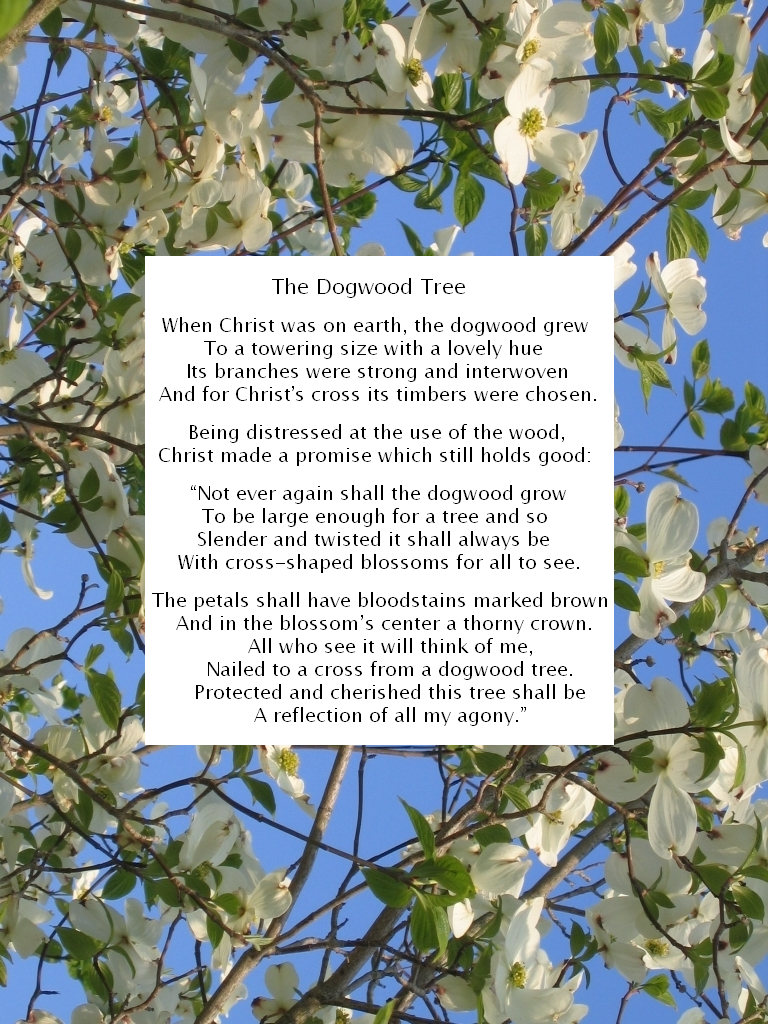 The Legend Of The Dogwood By Dmusso1989 On DeviantArt Dogwood Trees Dogwood Tree Poem