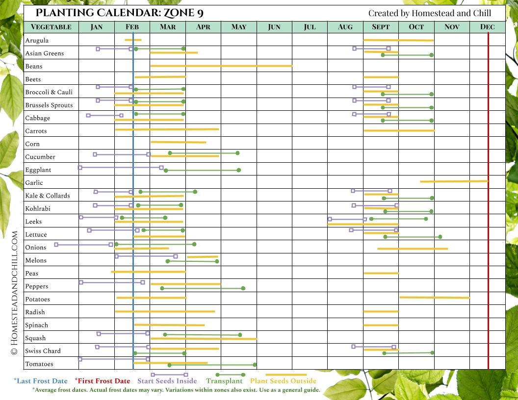 When To Start Seeds Garden Planting Calendars For Every Zone Homestead And Chill